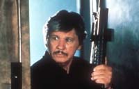 Death Wish 4: The Crackdown Picture