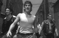 Rumble Fish Picture