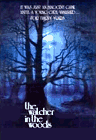 The Watcher In The Woods Movie Trivia