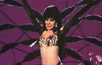 ELVIRA, Mistress of the Dark Picture