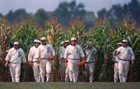 Field Of Dreams Picture