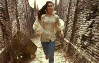 Labyrinth Picture