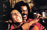 The Last Dragon Picture