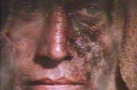 Near Dark Picture