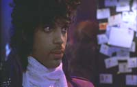 Purple Rain Picture