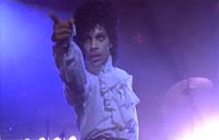 Purple Rain Picture