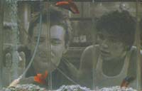 Rumble Fish Picture